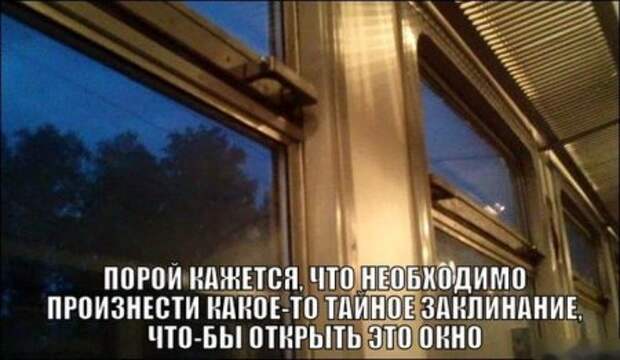 Всем хорошего и рабочего дня- Позитивчика пучок