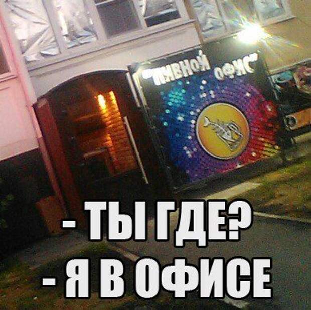 Фразы в картинках. Классные приколы!
