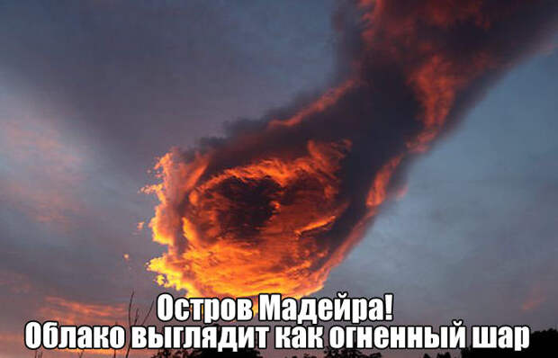 Прикольные картинки картинки, фото, юмор
