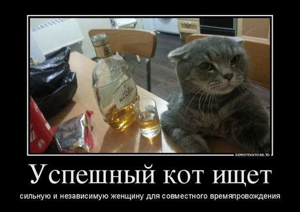 Демотиваторы бревно, демотиваторы, юмор