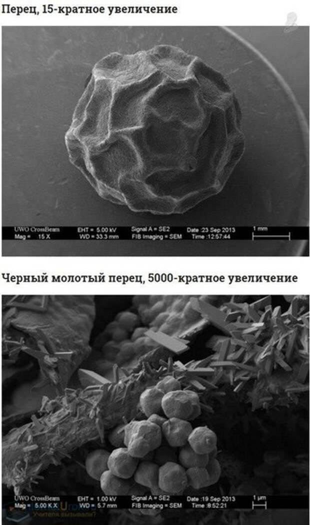 Кратное увеличение числа. Кратное увеличение. 500 Кратное увеличение. Цинк под микроскопом. 16 Кратное увеличение.