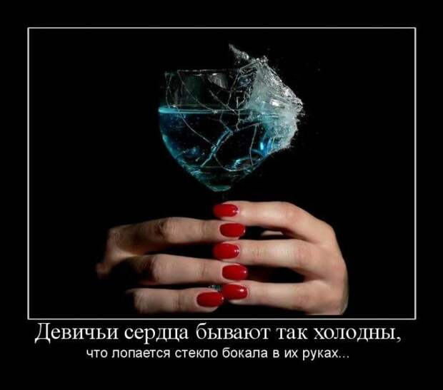Демотиваторы (107 фото)