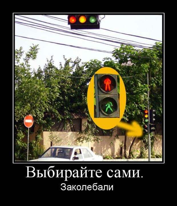 Демотиваторы (107 фото)
