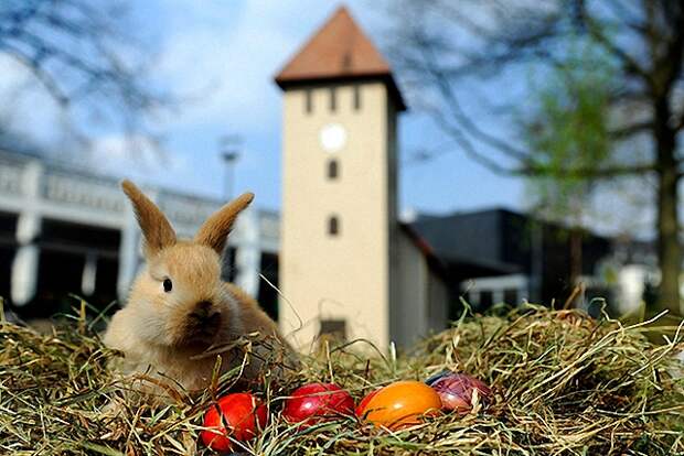 Интересные традиции празднования Пасхи в мире Интересные традиции празднования Пасхи в мире