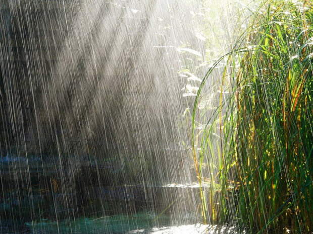 4278666_Nature_Other_Rain_024252_ (700x525, 156Kb)