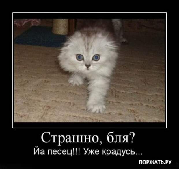 Демотиваторы по русски, очень остроумно.