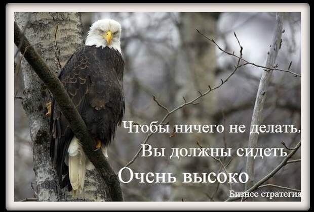Изображение - savepic.org — сервис хранения изображений