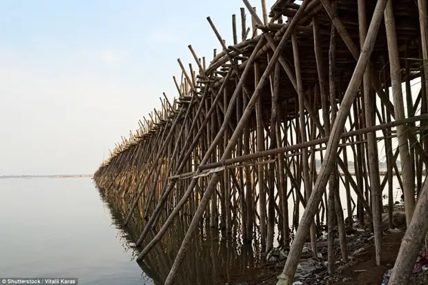 Шедевральный 300-метровый бамбуковый мост в Камбодже каждый год разбирают и строят заново бамбук, в мире, камбоджа, конструкции, мосты, неожиданно, постройка, путешествия