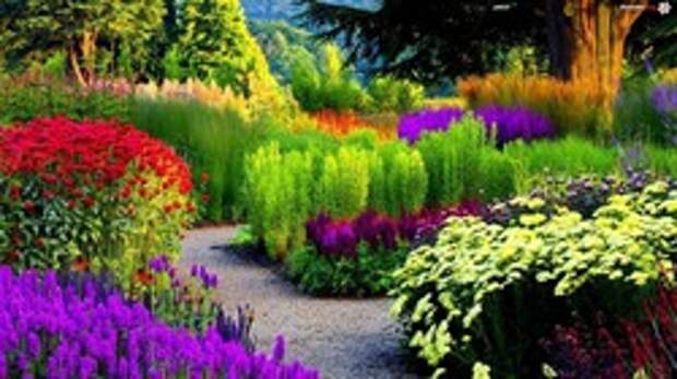 Цветовая палитра сада