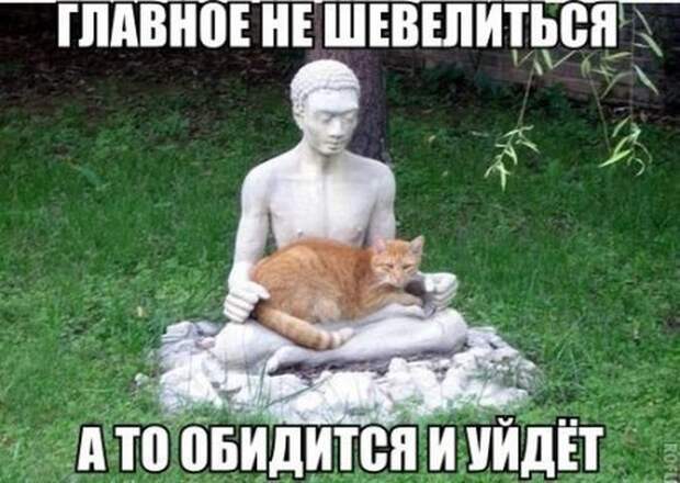 Смешные картинки с подписями катинки, прикол, юмор