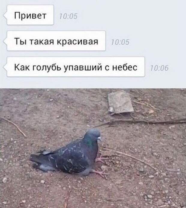«Подкаты» к девушкам в сети