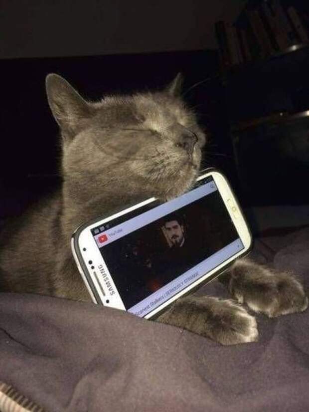 Прикольные картинки