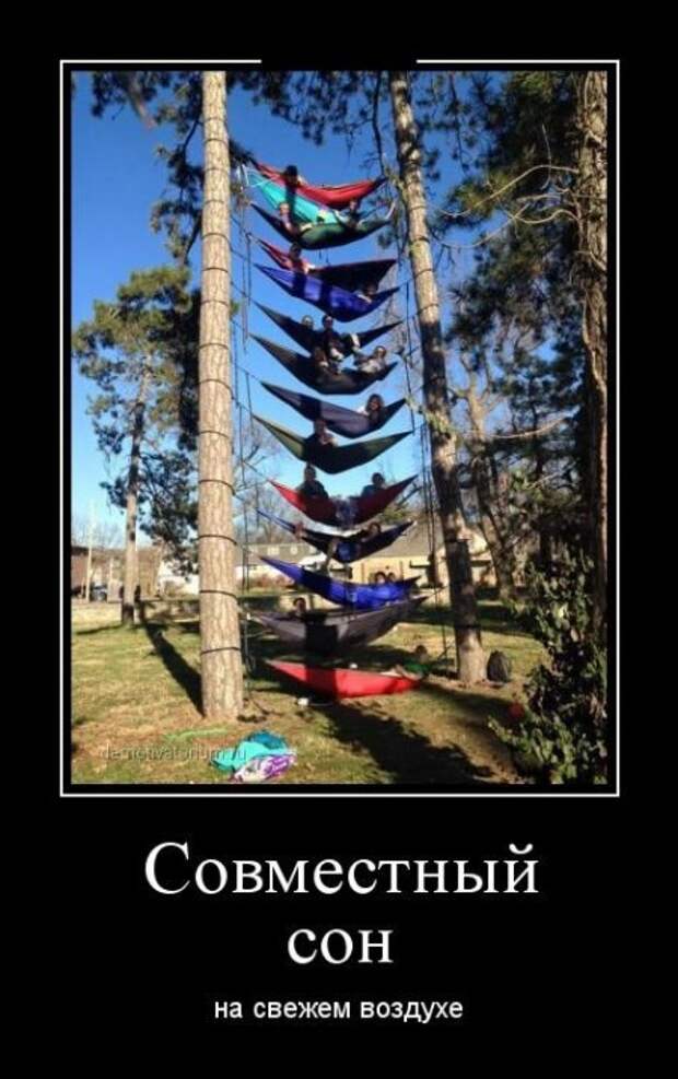 Картинки в черных рамках