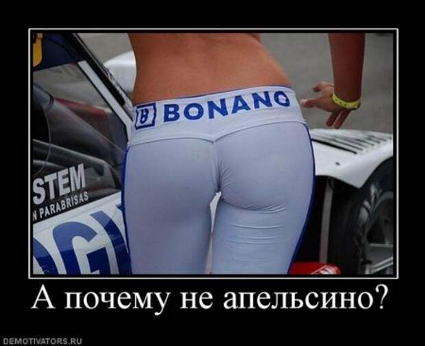 Демотиваторы от которых у тебя поднимется не только настроение. И плевать, что это неправда…