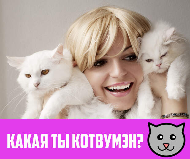 Тест-кошкометр. Измерь свою силу и независимость!