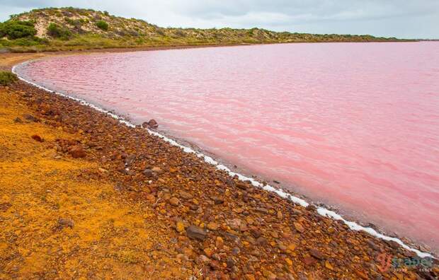 Pink Lake, Port Gregory, Western Australia