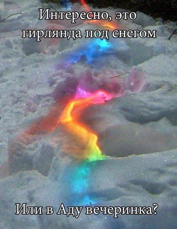 Новогодняя подборка прикольных картинок Новогодняя подборка прикольных картинок