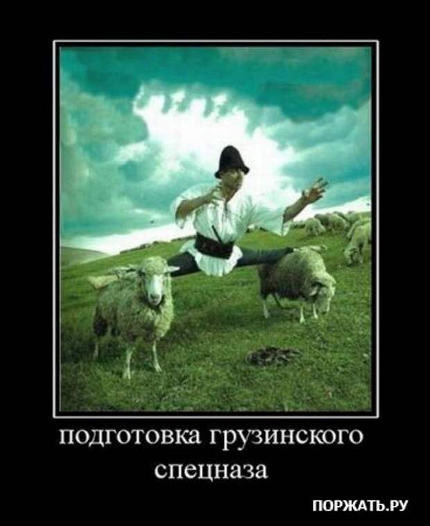 Демотивируемся только прикольными фото сюжетами и надписями.