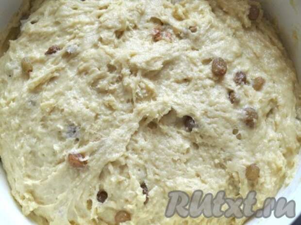 Для приготовления этих пасхальных куличей яйца и масло должны быть комнатной температуры. Взбиваем масло и яйца. Растворяем дрожжи в тёплом топлёном молоке, затем добавляем сахар и смесь масла и яиц. Массу перемешиваем, накрываем и оставляем в тёплом месте на 8-9 часов. По истечении времени добавляем просеянную муку, ванилин, соль и изюм. И начинаем вымешивать тесто. Тесто получается липким и вязким, поэтому чтобы проще было вымешивать, можно руки смазать растительным маслом без запаха. 
