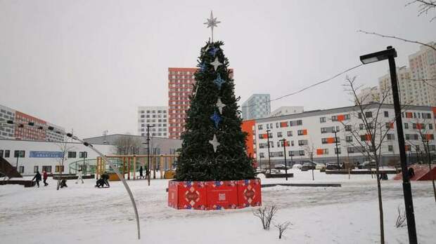 Новогодние ели установят по 7 адресам в Мытищах