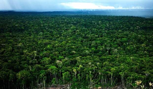 Amazonas08 Большое фотопутешествие по лесам Амазонки