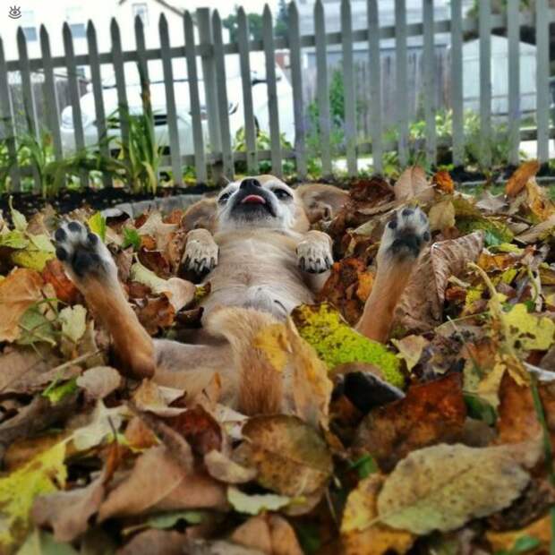 Позитивные фотки 44