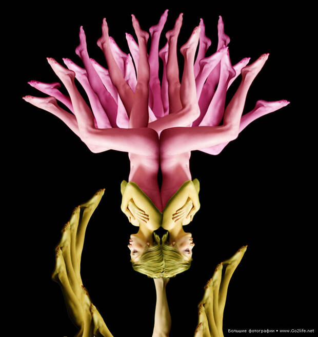 Human Bodies Art