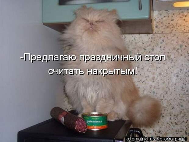 Позитив зверский с забавными надписями Позитив зверский с забавными надписями