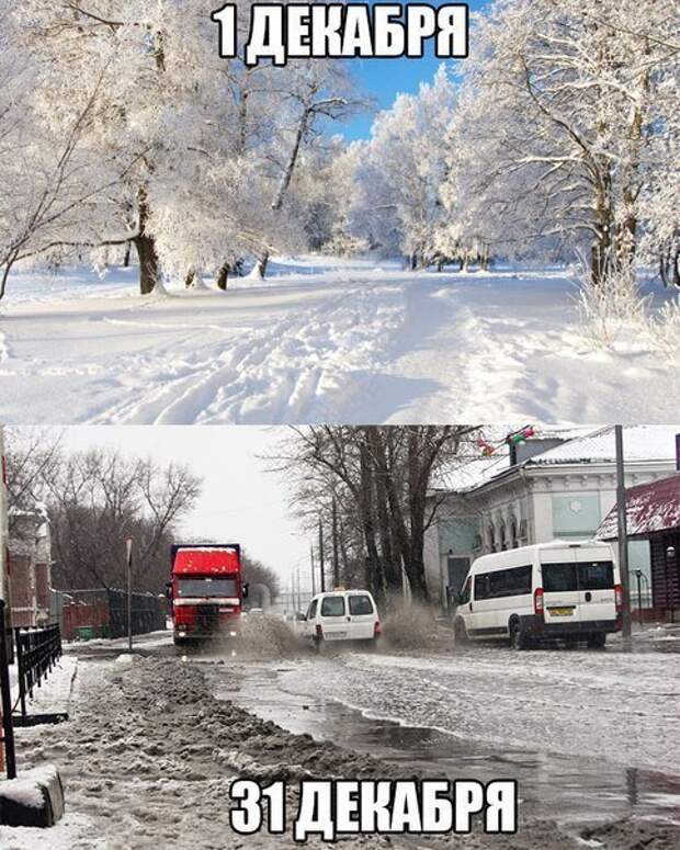 Новые автоприкольные картинки. Свеженькие приколы