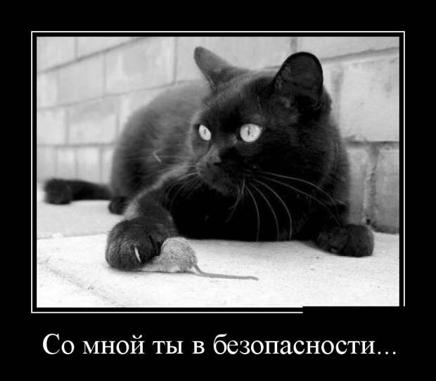 Демотиваторы демотиваторы, прикол, смех, юмор