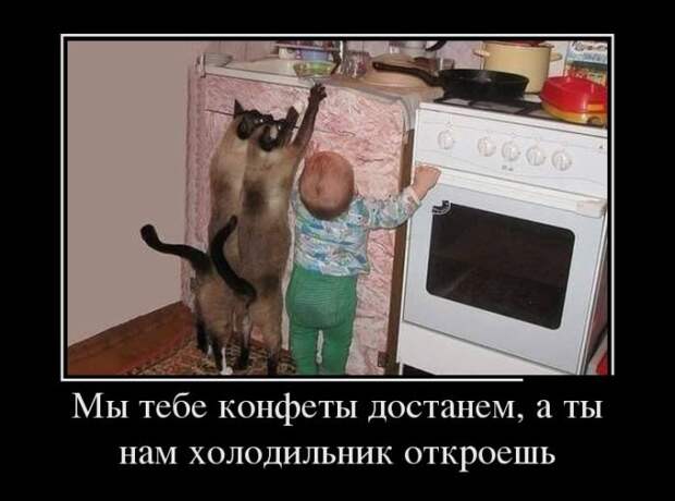 Демотиваторы про Мальдивы, маркетинг и женский коллектив Демотиваторы про Мальдивы, маркетинг и женский коллектив