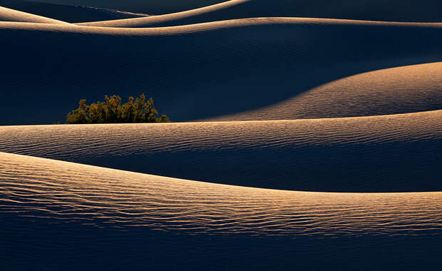 TOP 15 twitter-фотографов