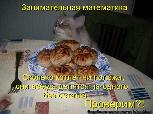 Новая котоматрица на Бугаге (31 фото)