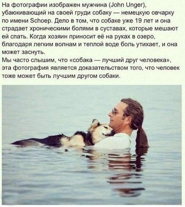 трогательно