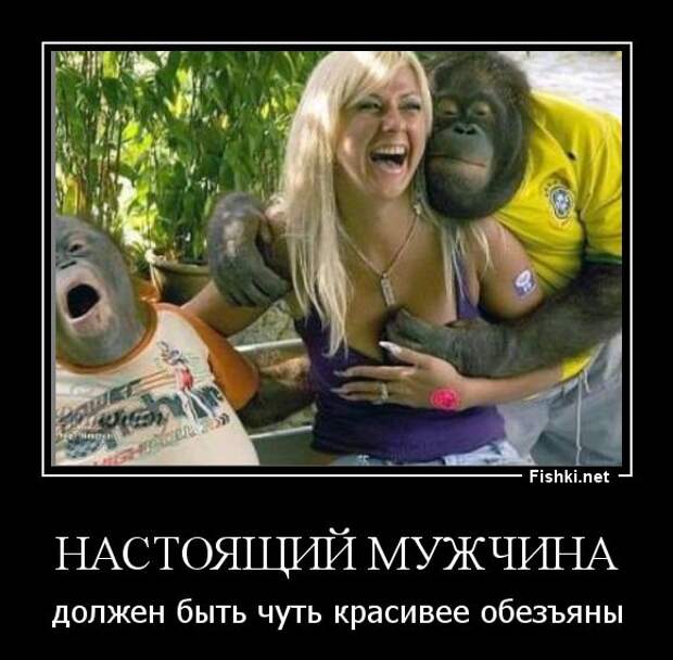 Демотиваторы демотиваторы, прикол, смех, юмор