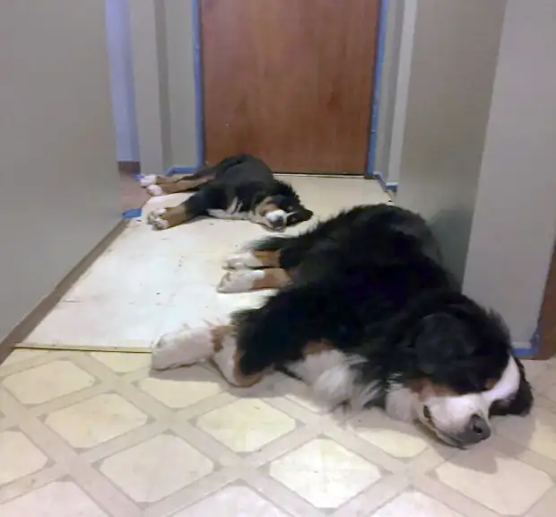 ���� � ������� ��� �������� ���������� � ���� ��������