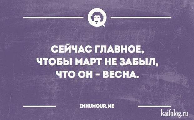Прикольные открытки (40 открыток) Прикольные открытки (40 открыток)