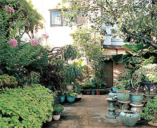 как украсить двор растениями