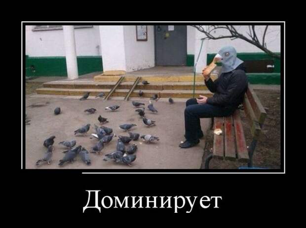 Демотиваторы (30 фото)
