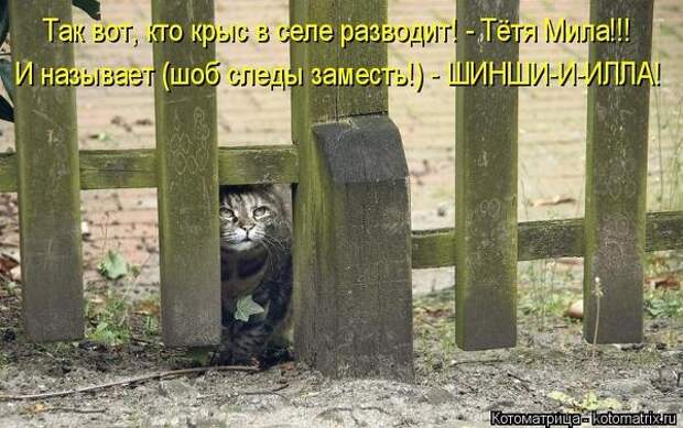 600x720-26de23cc3f5352966a63ec0947c3ccfd_103348 (600x377, 165Kb)