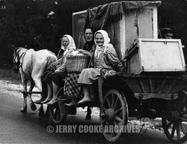 traveling-in-horse-drawn-wagon
