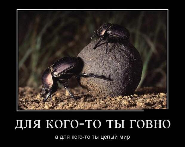 Демотиваторы демотиваторы