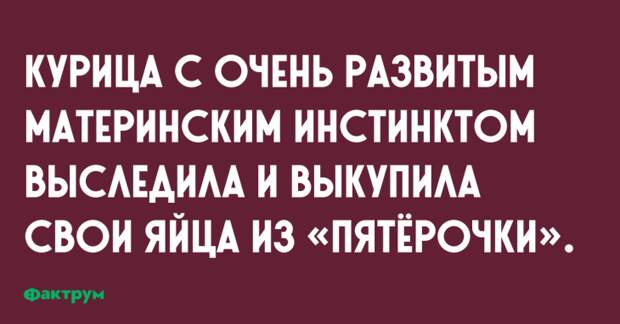 Десятка обалденных анекдотов, над которыми вы будете долго смеяться Десятка обалденных анекдотов, над которыми вы будете долго смеяться
