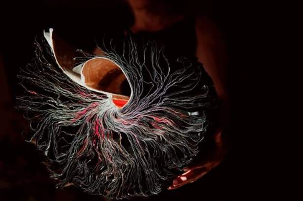 Скульптуры из старых книг Жаклин Раш Ли (19 фото)