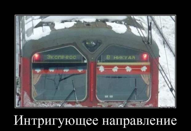 1587452427_demki-8.jpg
