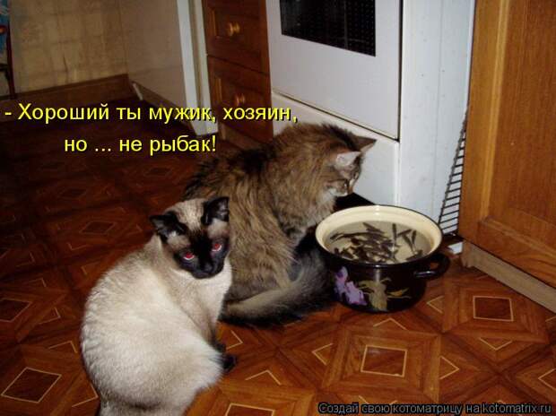 Котоматрица - но ... не рыбак! - Хороший ты мужик, хозяин,