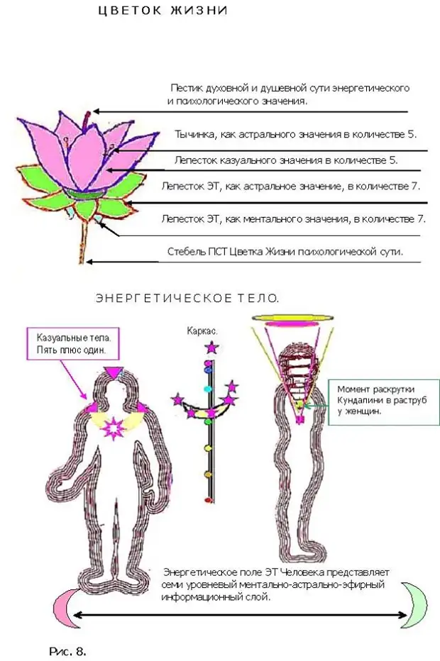 Тонкий план человека что это