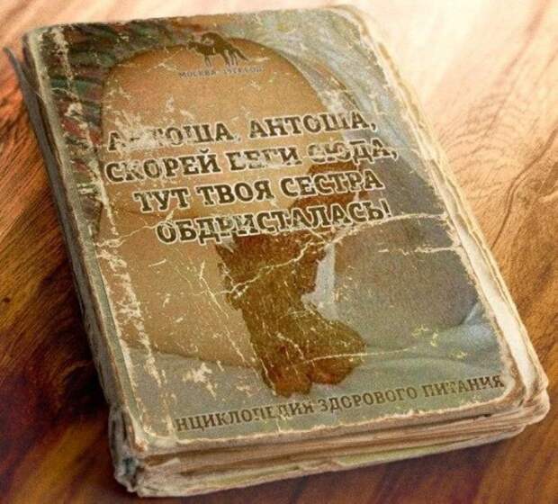 Весёлые тексты из нашей жизни
