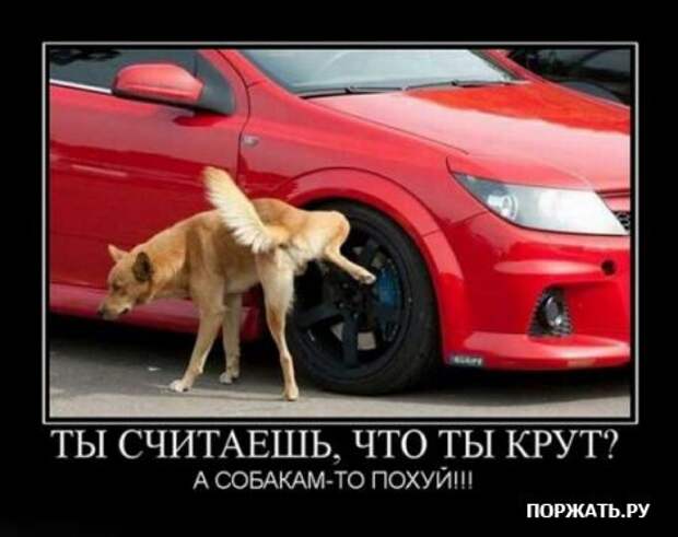 Демы прикольные у нас таких на сайте много.