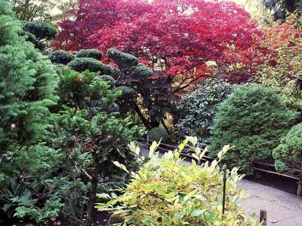 Место чарующее своей красотой и живой природой - The Butchart Gardens. 